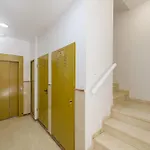 Wintowinrentals Sweet 2 Bedrooms With Terrace Near Rincon